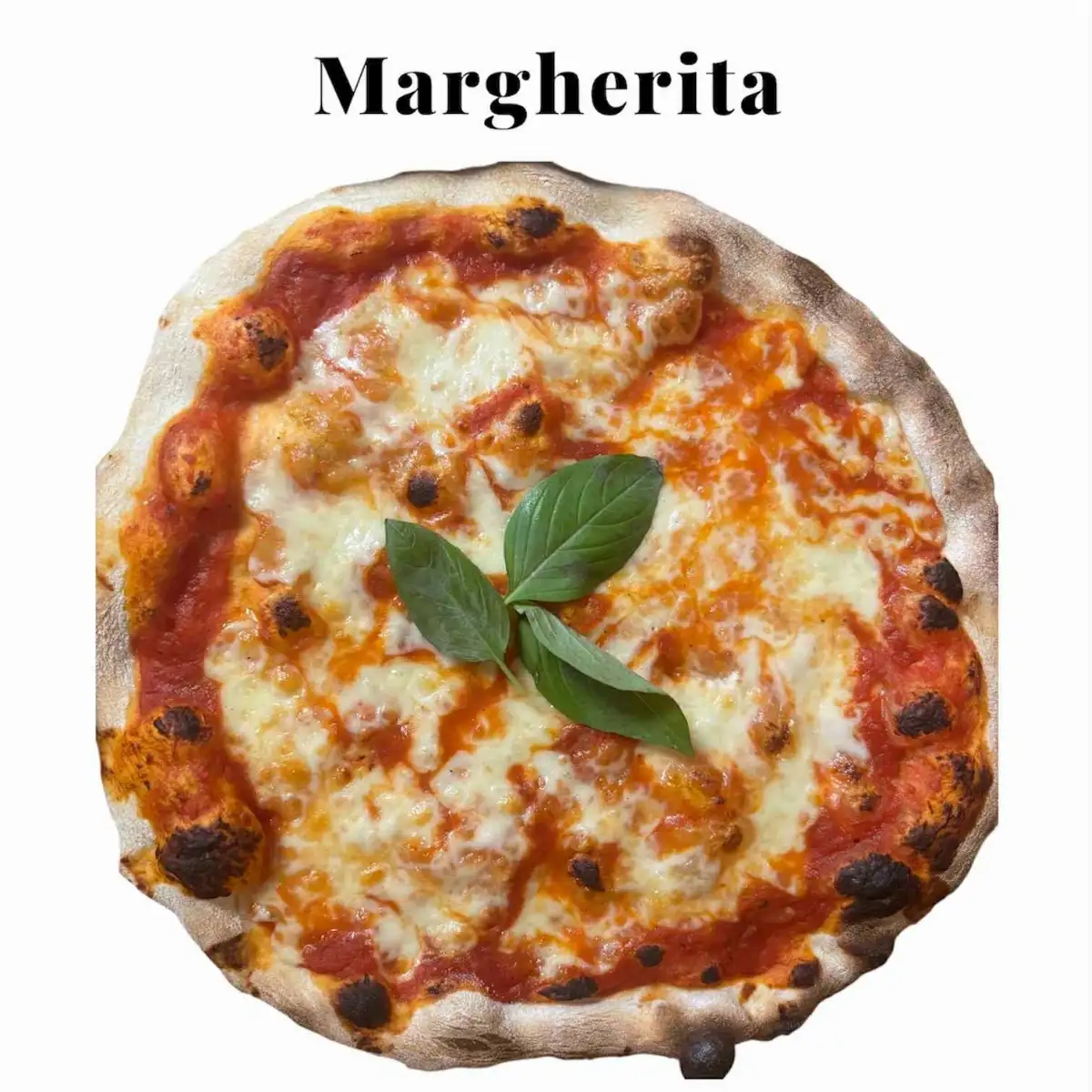 Margherita